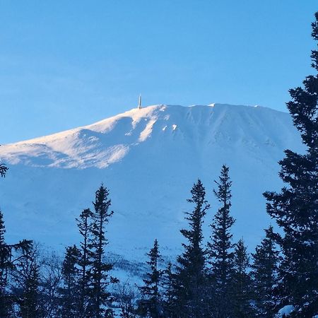 Ny Leilighet Med Flott Utsikt Til Gaustatoppen Rjukan Kültér fotó