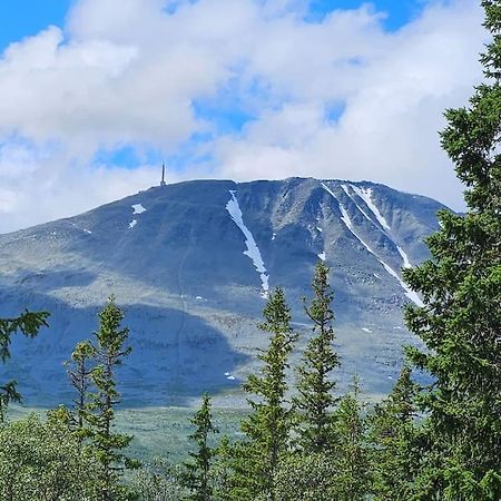 Ny Leilighet Med Flott Utsikt Til Gaustatoppen Rjukan Kültér fotó