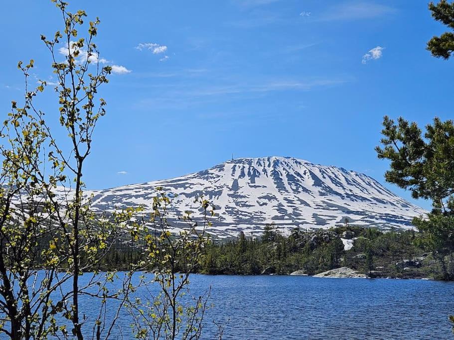 Ny Leilighet Med Flott Utsikt Til Gaustatoppen Rjukan Kültér fotó
