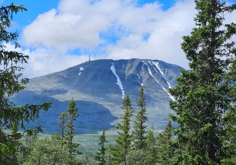 Ny Leilighet Med Flott Utsikt Til Gaustatoppen Rjukan Kültér fotó